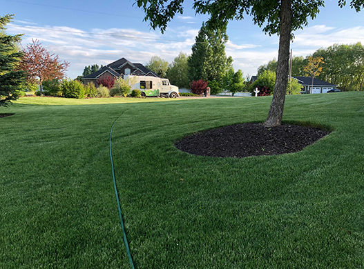 Pest control services by new day pestcontrol offers safe, environmentally friendly pest control, pest management, pestremoval, pest extermination, and other wild animal pest. Lawn Treatments - Spray Tech Solutions