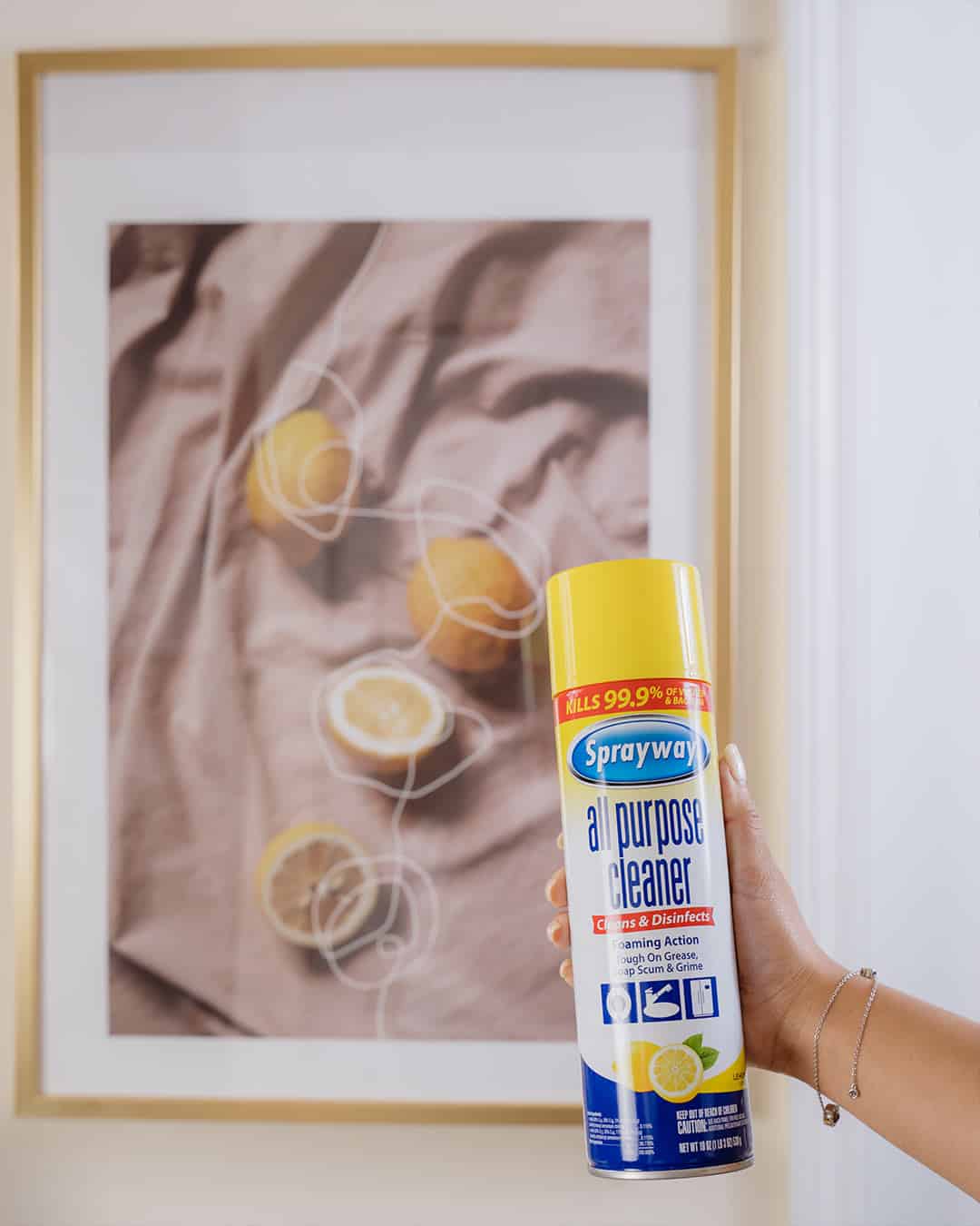 Sprayway All Purpose Cleaner Lemon Scent Sprayway