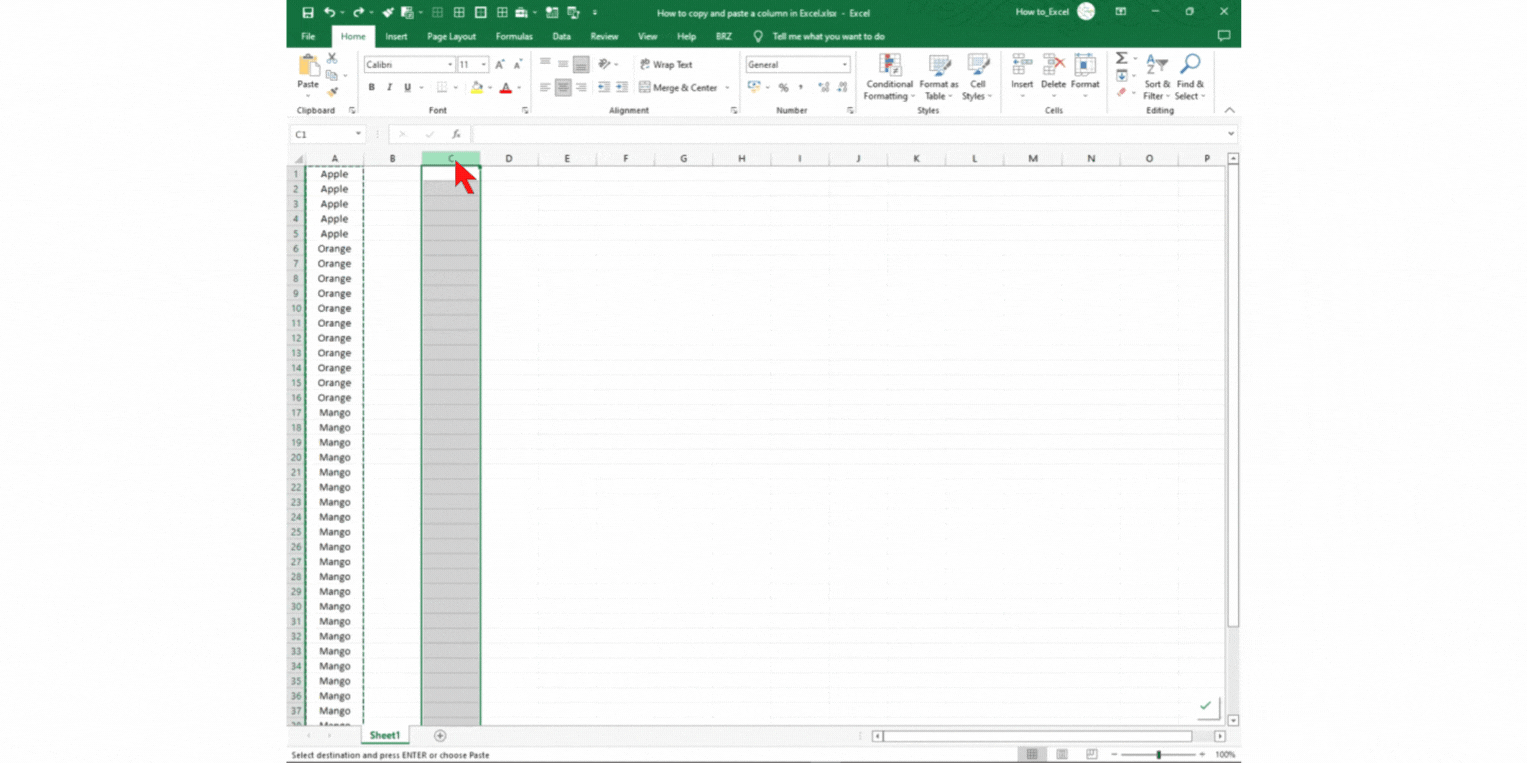 How To Copy And Paste A Column In Excel SpreadCheaters