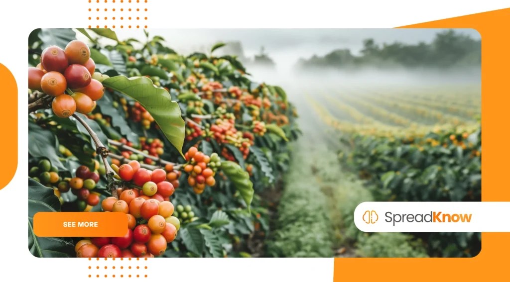 The Story Behind Coffee and Its Global Journey