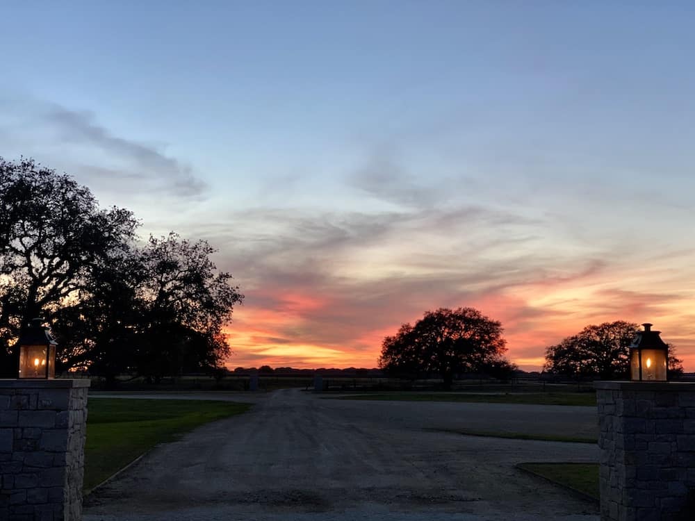 The live oak trees of Spread Oaks Ranch Spread Oaks Ranch