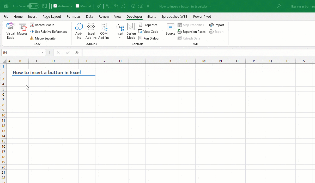 How to insert a button in Excel