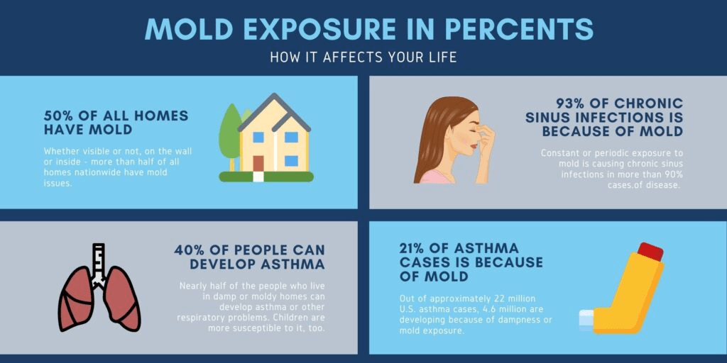 Mold Allergies Causes, Symptoms & Best Measures SpreadX