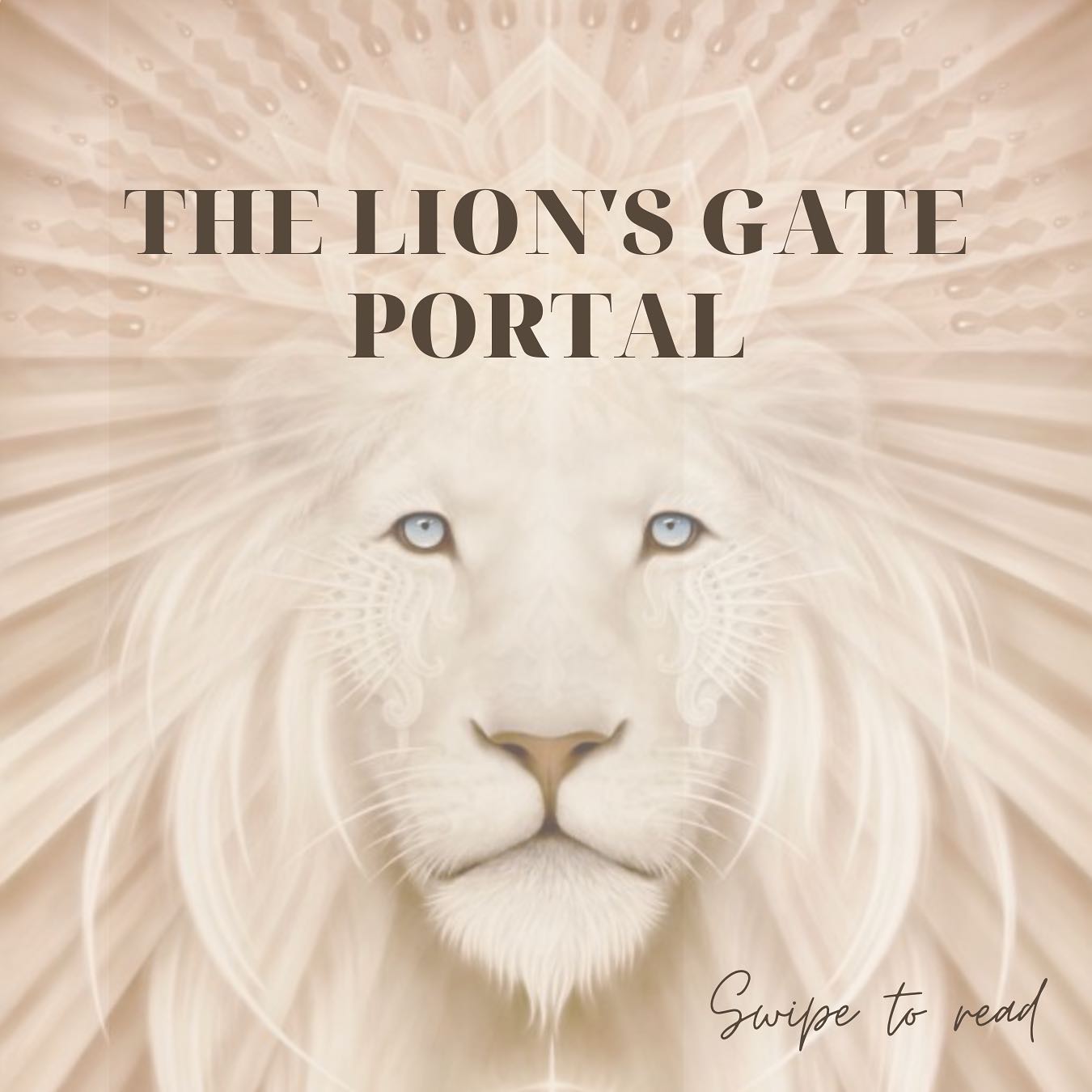 The Lion's Gate Portal 2023 Spring Acupuncture