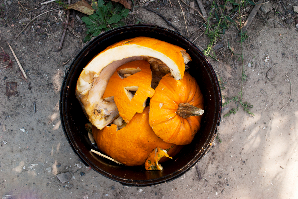Composting Pumpkins (4 Effective Methods & Tips)
