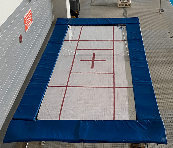 Goodwin Fusion Plus String Bed Springboards And More