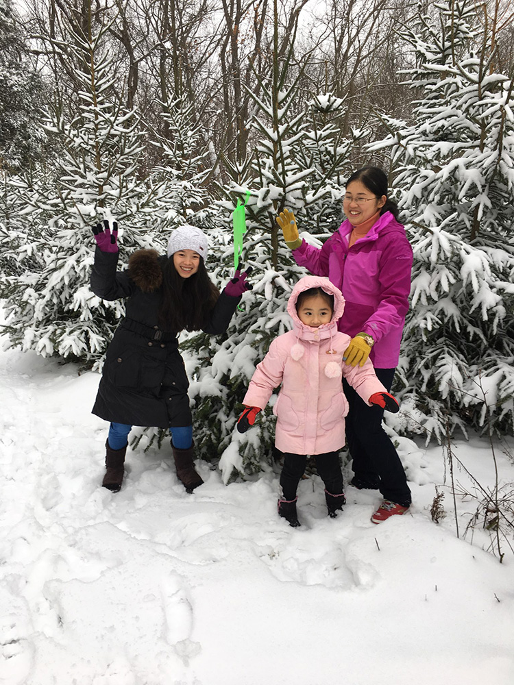 Christmas Trees Springboro 2024