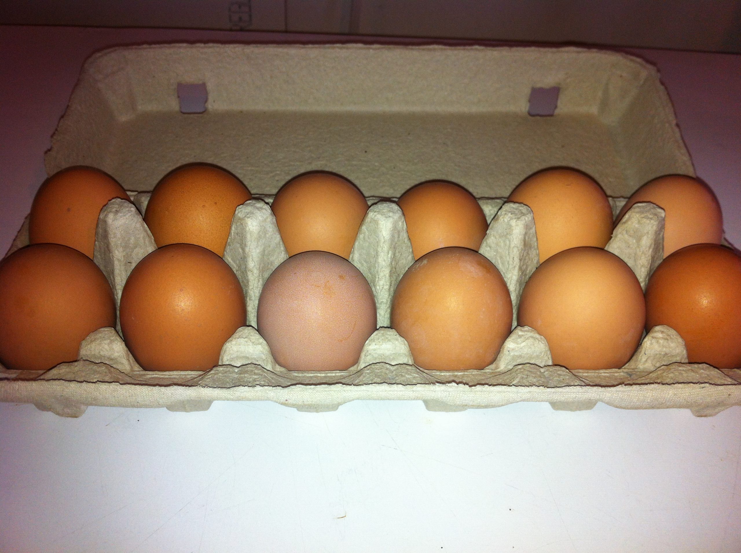 Eggs Spring Brook Farms