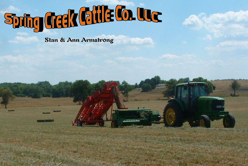 Hay for Sale at Spring Creek Cattle Company, LLC Stan and Ann