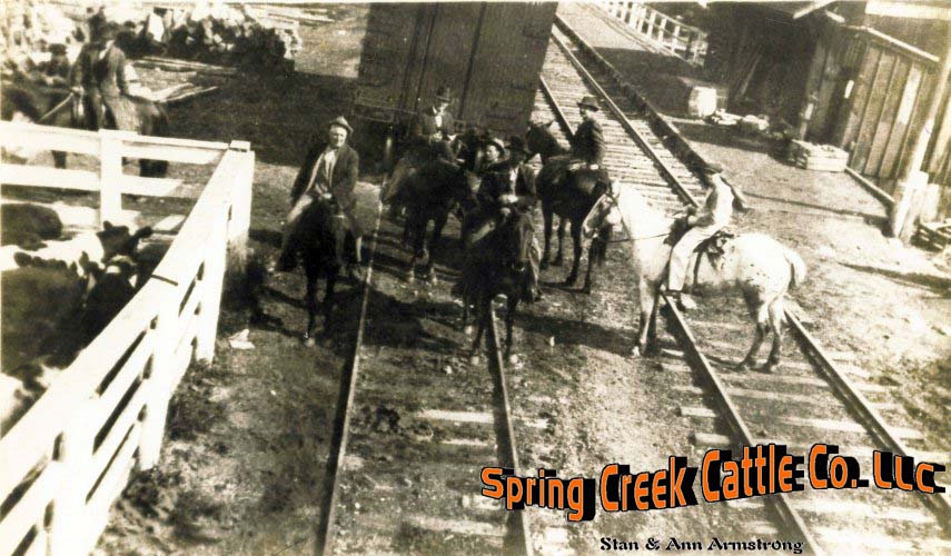 The Heritage of Spring Creek Cattle Company, LLC Stan and Ann