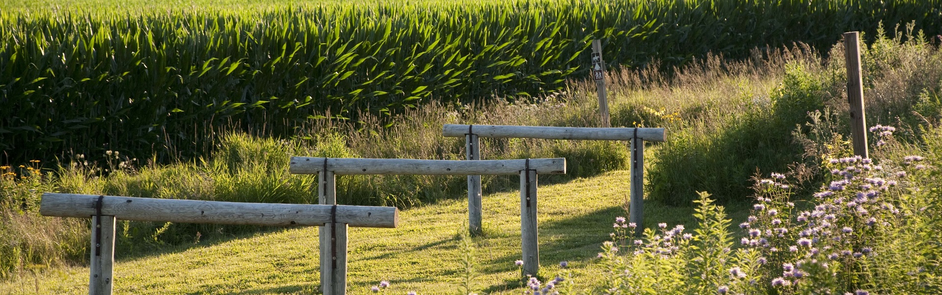 Home [springdalewi.gov]