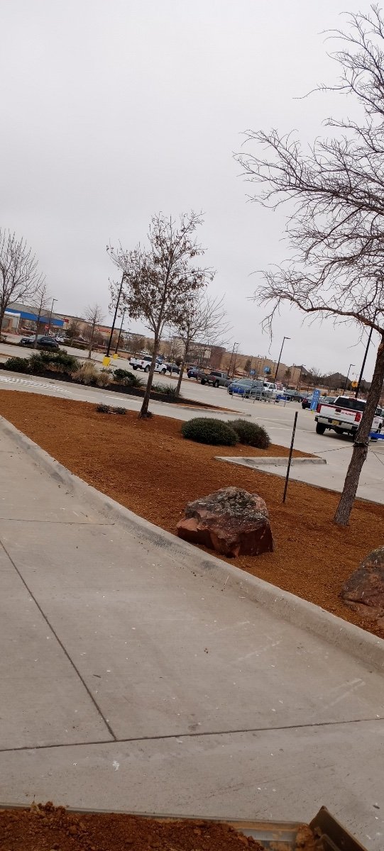 Best Commercial Lawn Service Denton TX Springer Lawn Care