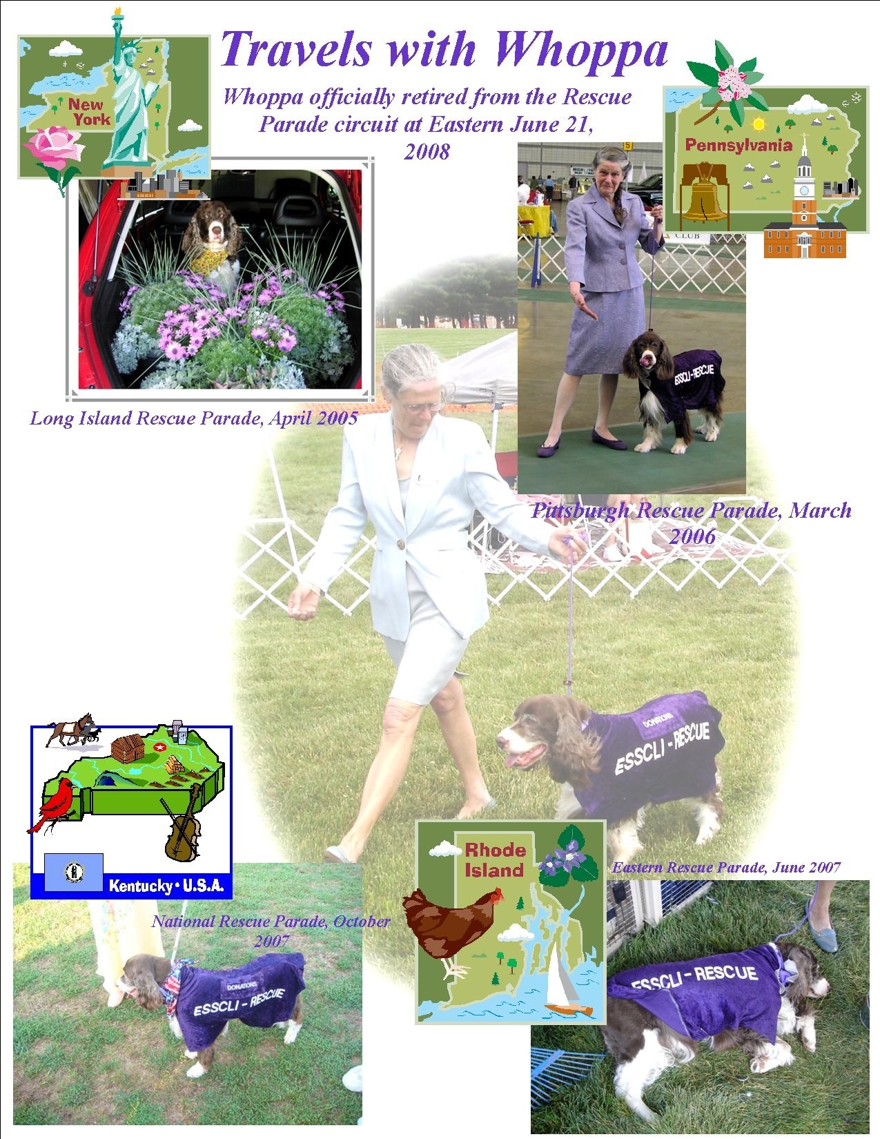 Kibbles N Bits English Springer Spaniel Club of Long Island
