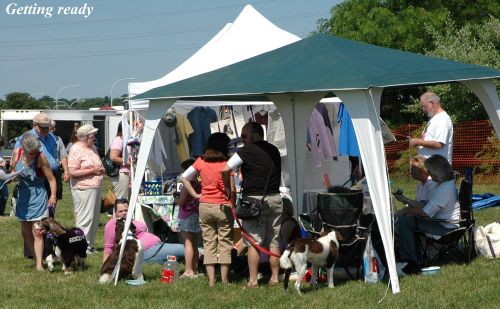 Kibbles N Bits English Springer Spaniel Club of Long Island