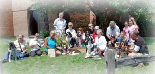 Old Posts Archive (20062012) English Springer Spaniel Club of Long