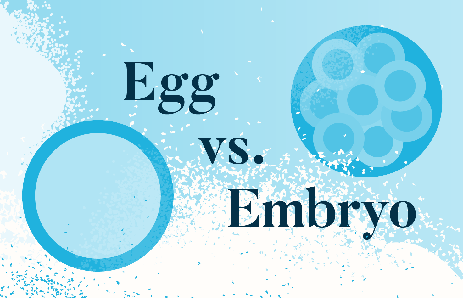 Egg Freezing vs. Embryo Freezing 5 Things to Consider Spring Fertility