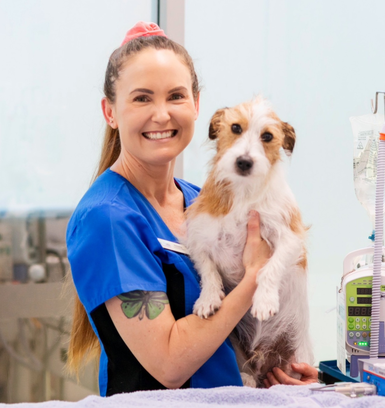 Join Our Pet Club Reduce Vet Bills with our membership!
