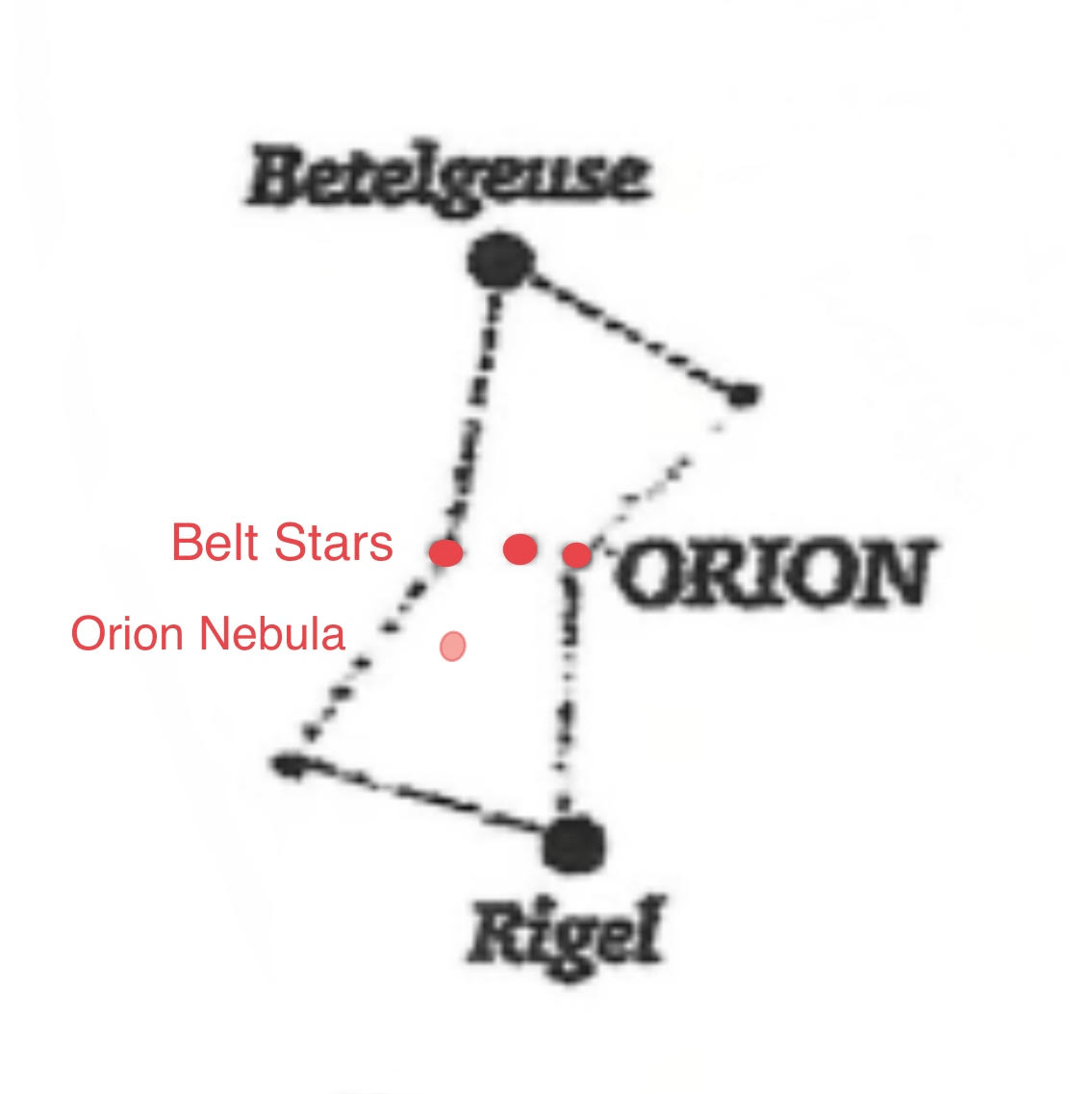 The Starry Scoop February 2023 Springfield Museums