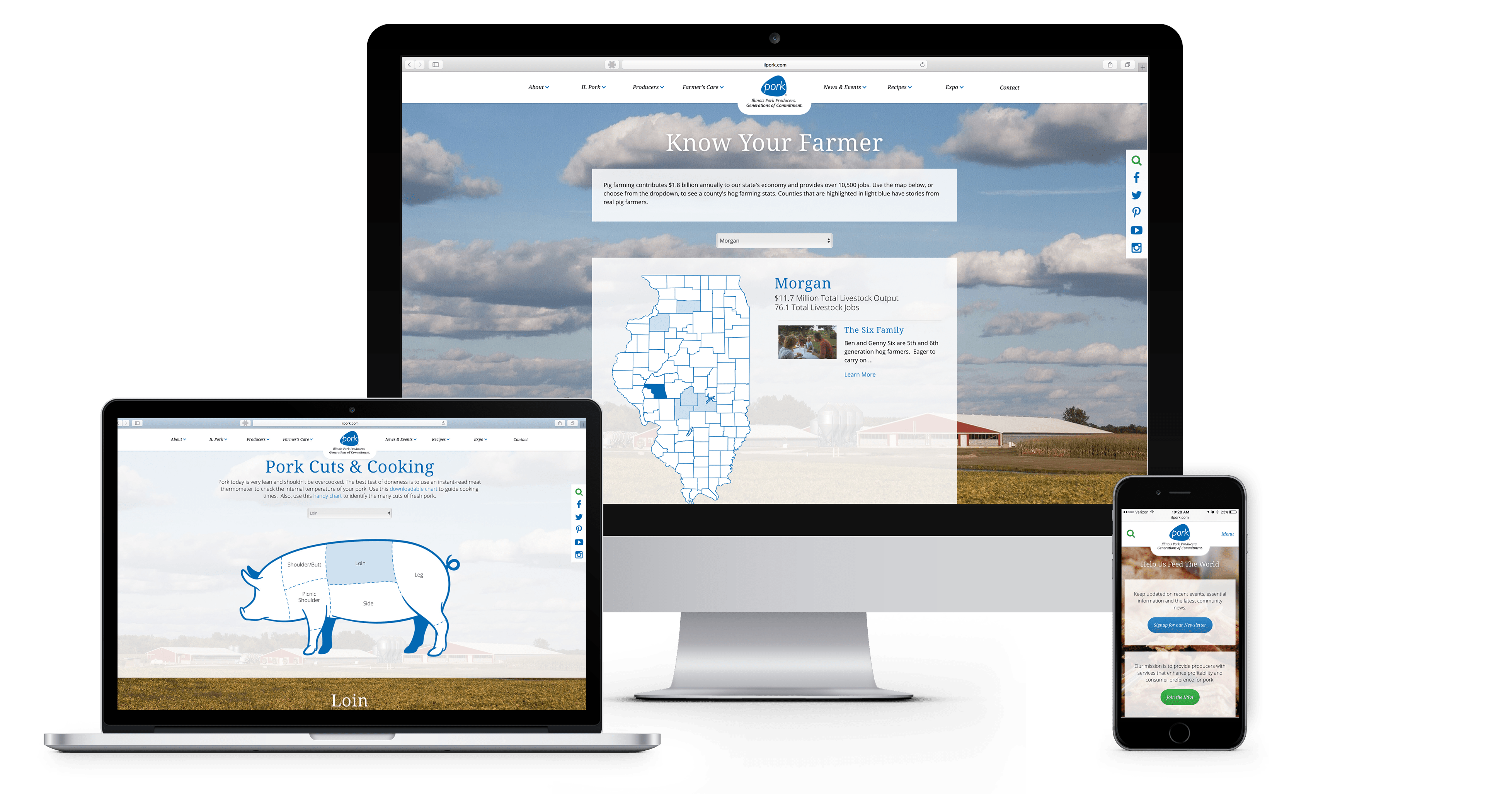 Springfield Web Designers Cybernautic Home