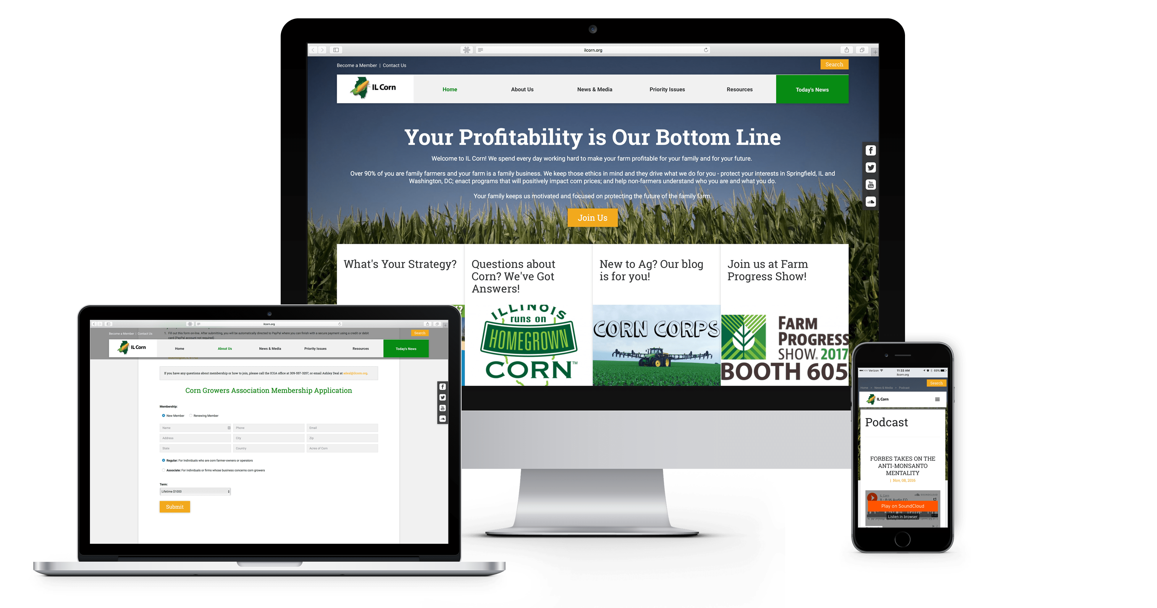 Springfield Web Designers Cybernautic Home