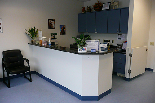 Take A Tour Spring Grove Animal Hospital
