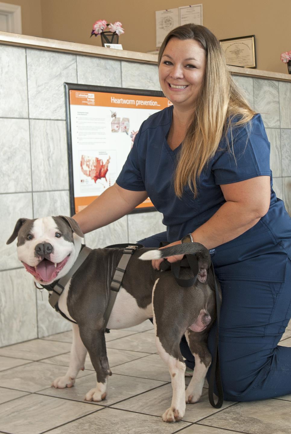 Our Team Spring Hill Animal Clinic