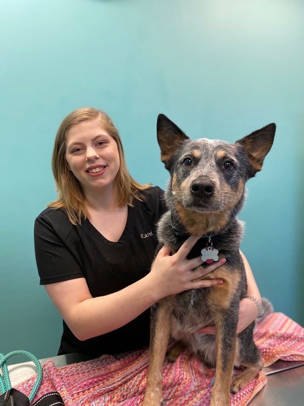 Our Team Spring Hill Animal Clinic