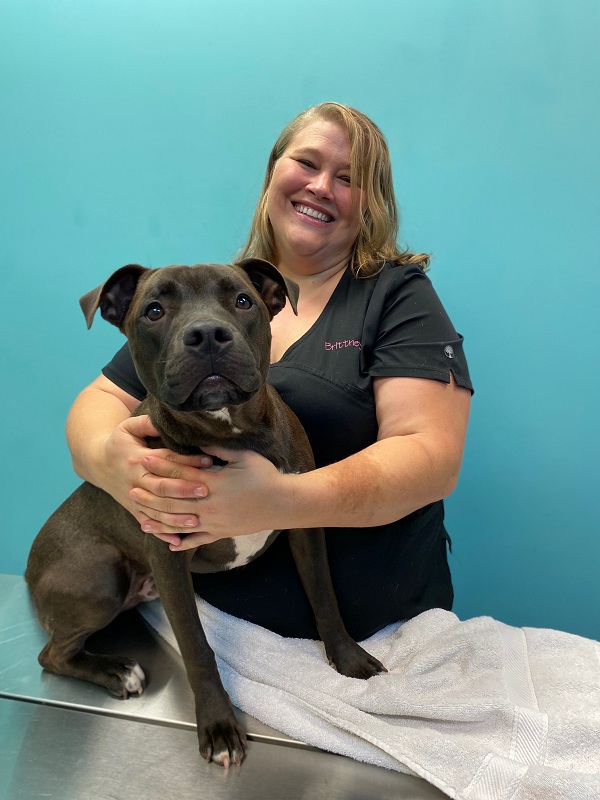 springhill animal clinic prices Tawnya Oakley