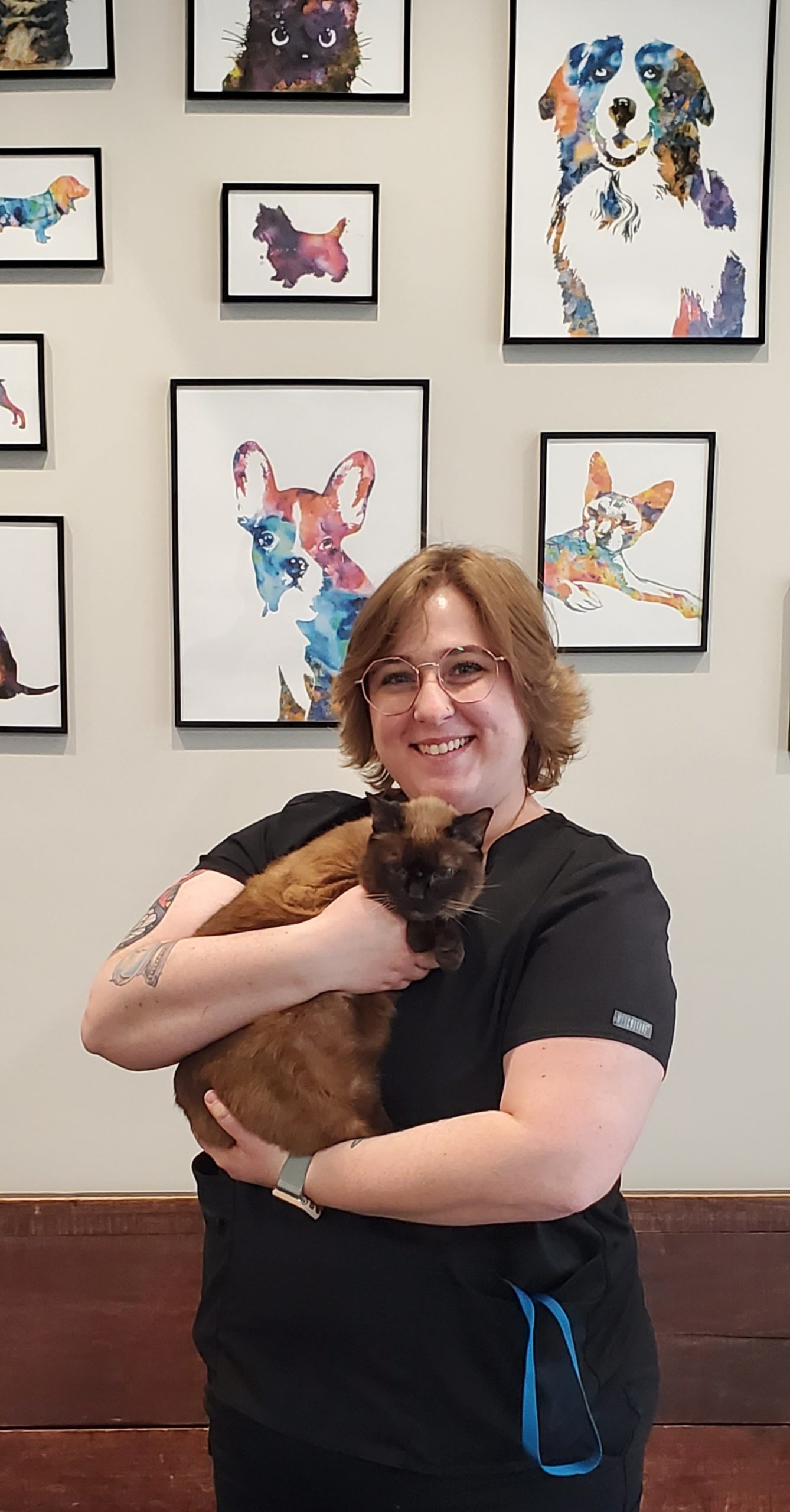 Our Team Spring Hill Animal Clinic