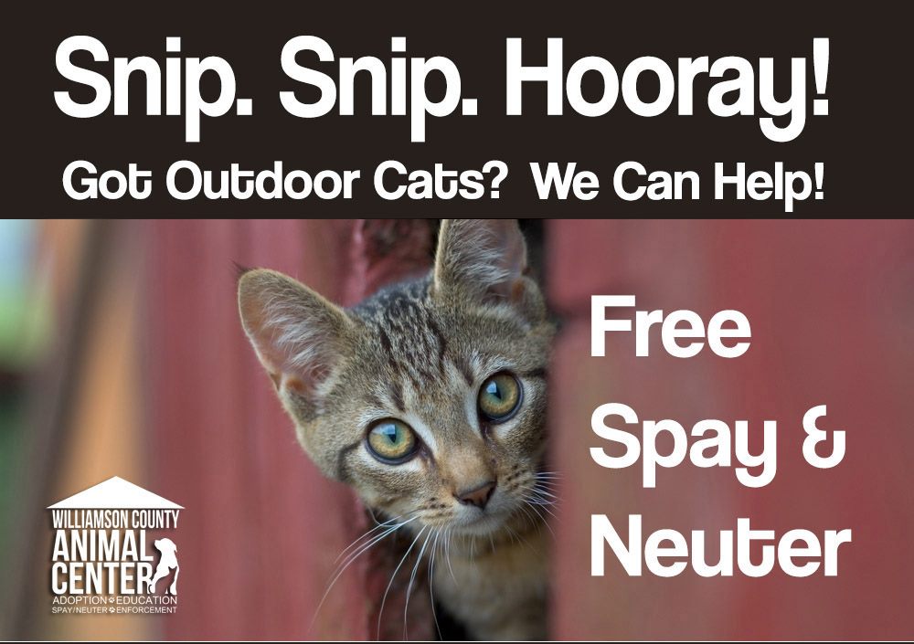 FREE SPAY/NEUTER PROGRAM RESUMES AT SHELTER Spring Hill, TN l Spring Hill Fresh Keeping You