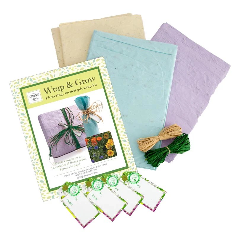 Spring Hill Wrap & Grow Spring Hill Nurseries Spring Hill Nursery