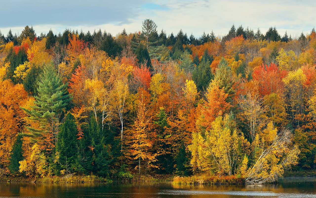 Wallingford, VT Alcohol And Drug Rehab Centers