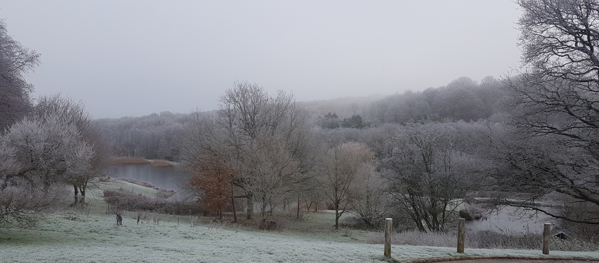 Gallery Springhill Trout Waters