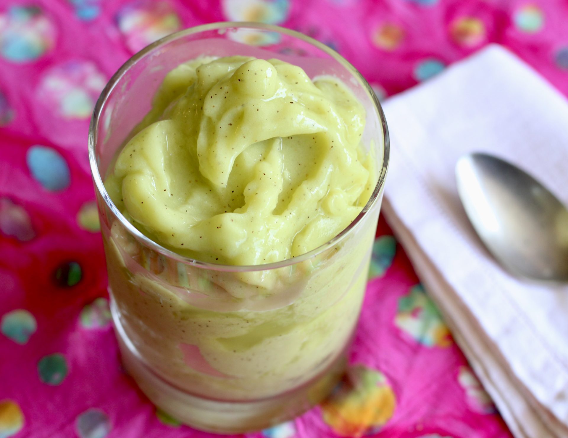 Pineapple Kiwi Smoothie Springhouse Turtle