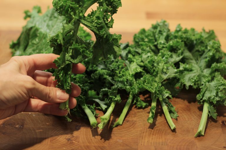 The Easiest Way to Remove Stems from Kale Springhouse Turtle