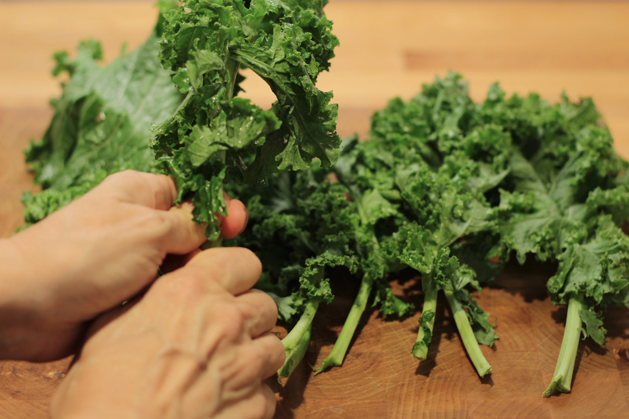 The Easiest Way to Remove Stems from Kale Springhouse Turtle