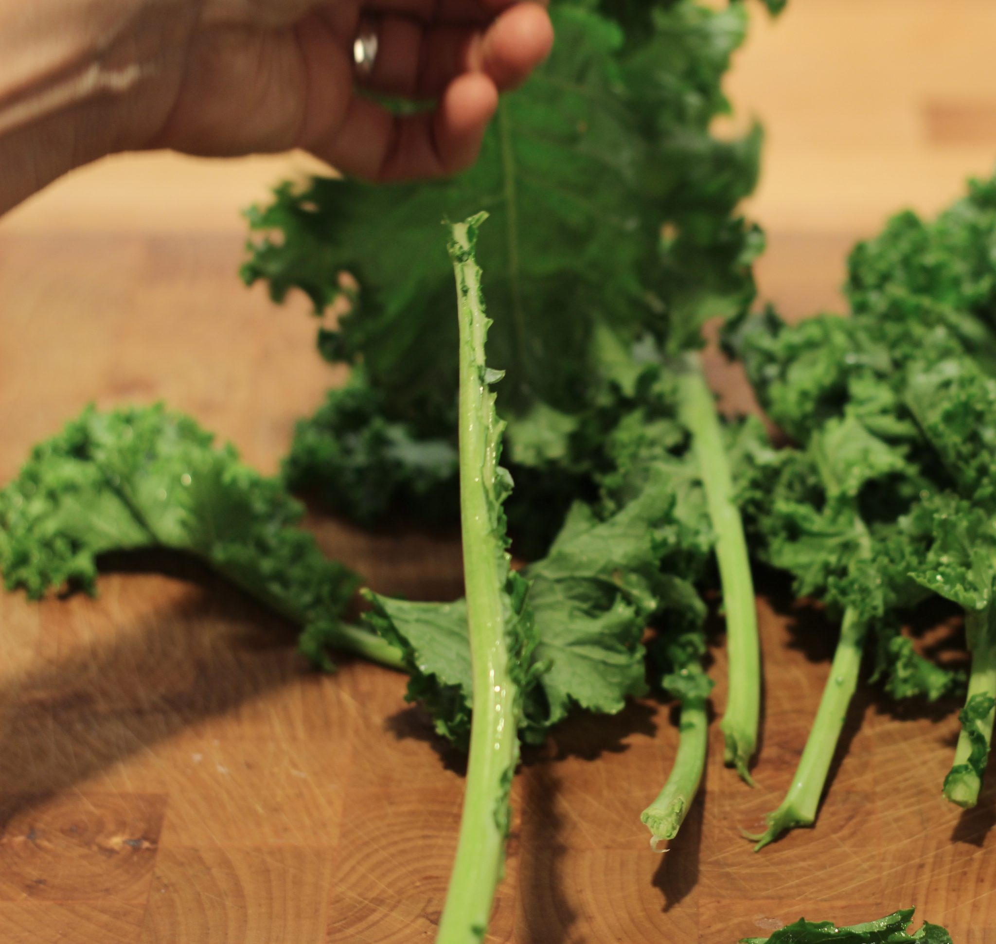 The Easiest Way to Remove Stems from Kale Springhouse Turtle