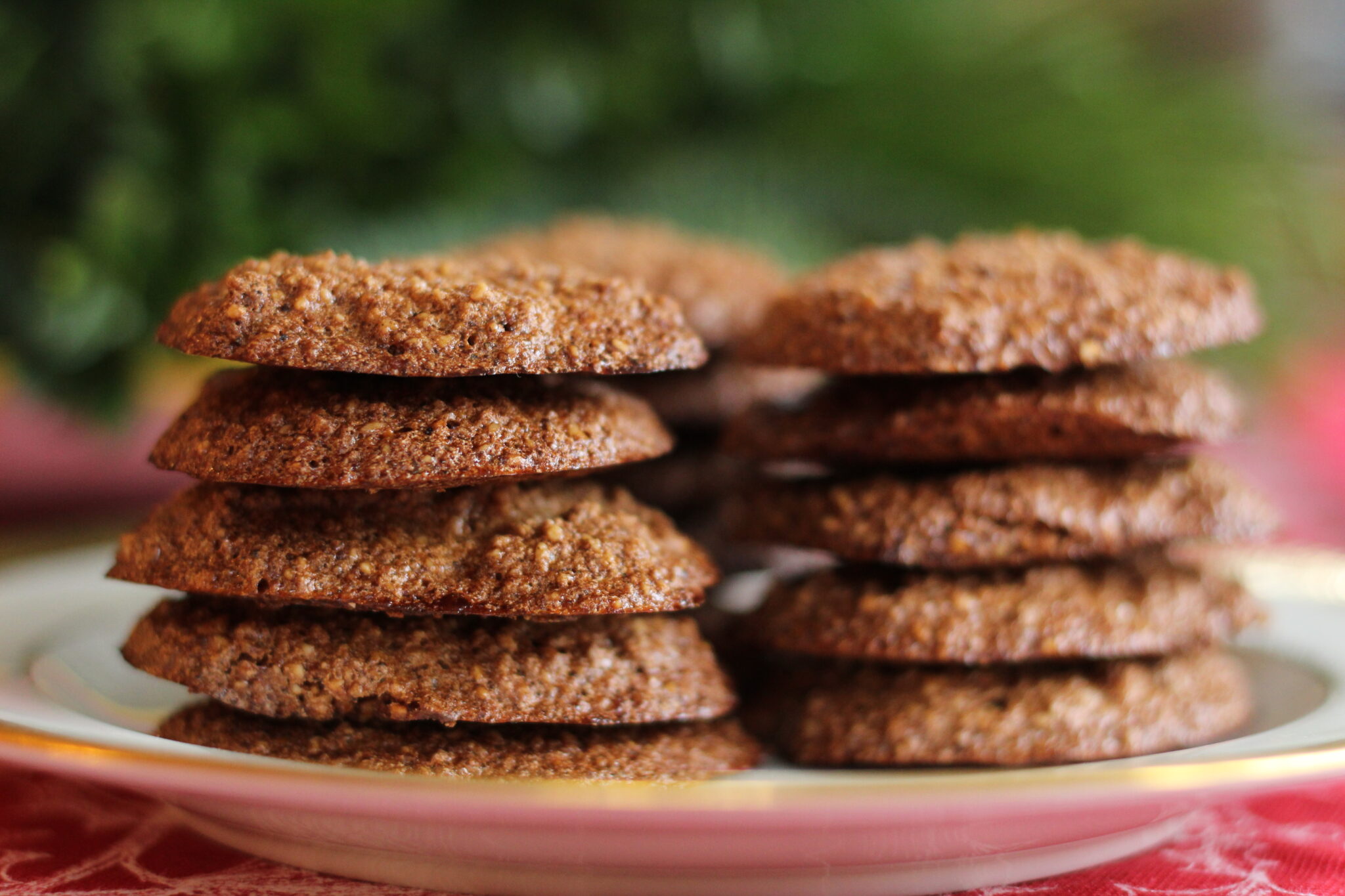 GlutenFree Amaretti Cookies Springhouse Turtle