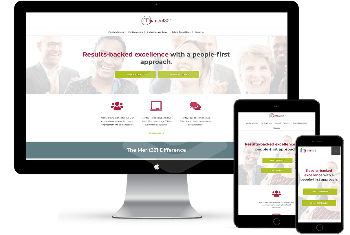 Merit321 Case Study Spring Insight