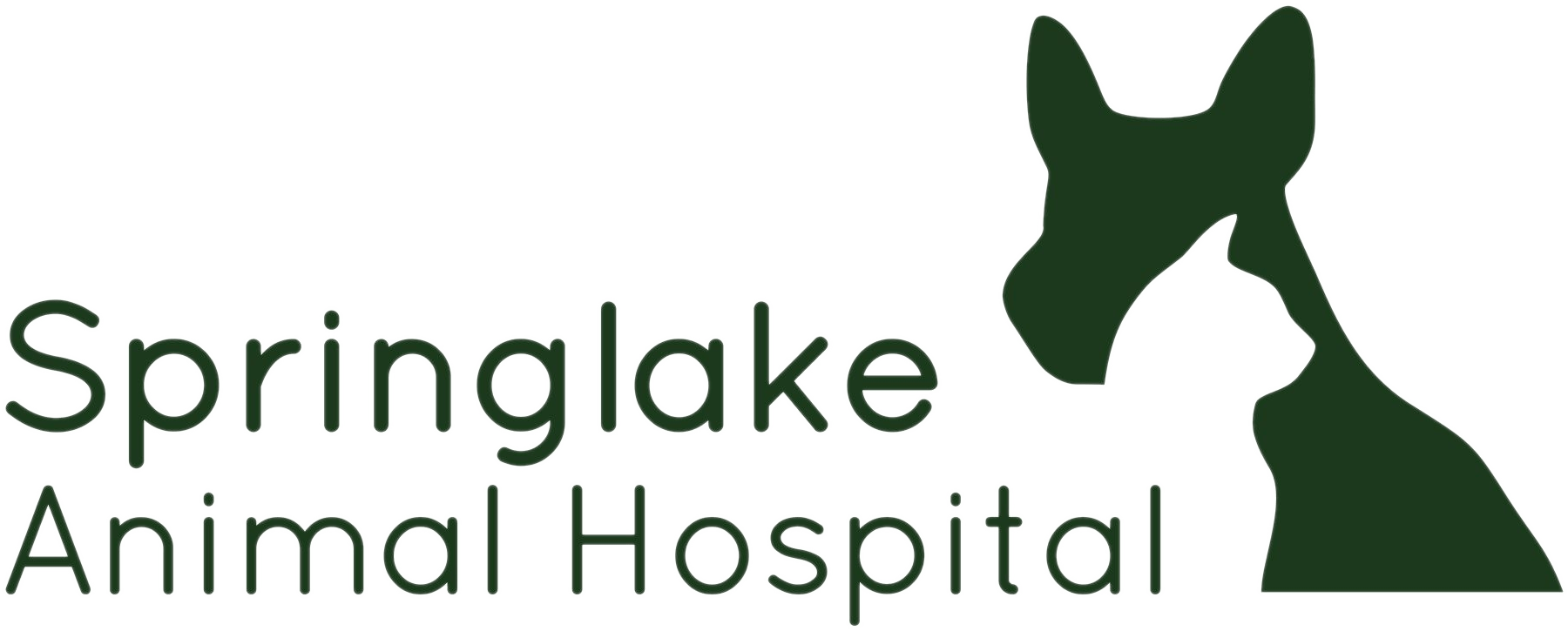 Cold Springs Animal Hospital Family Veterinarian In Rifle Co The