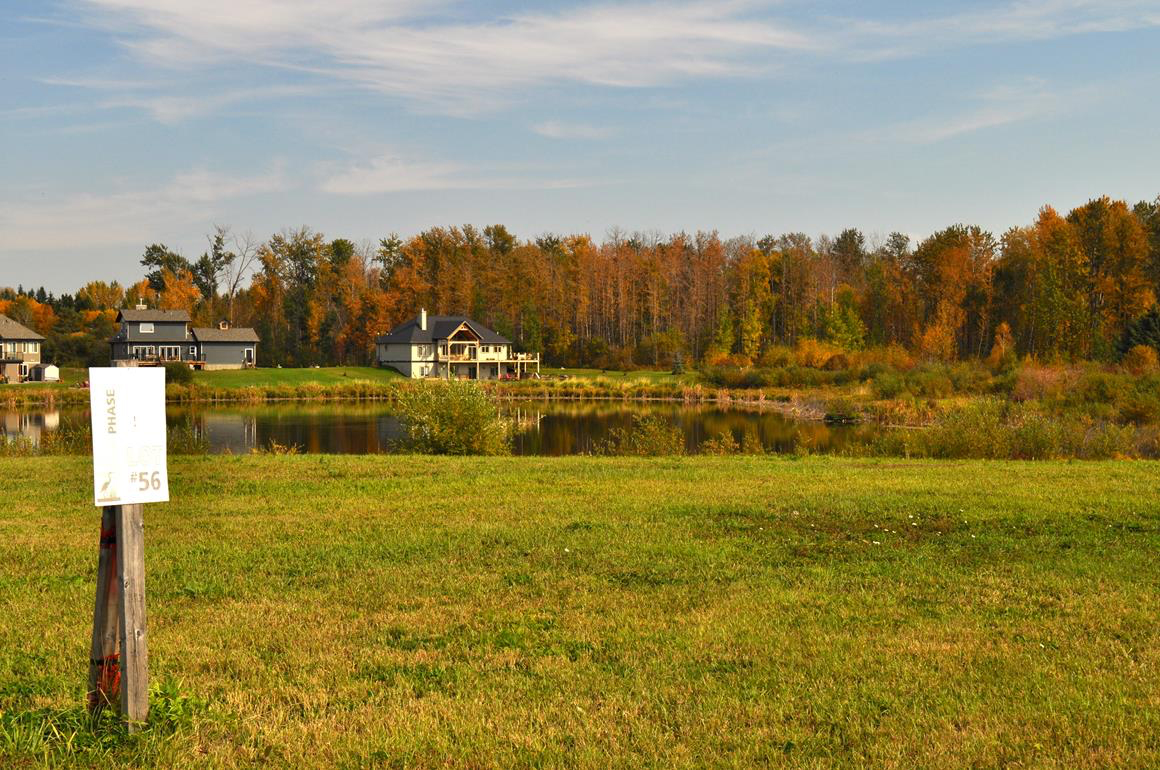 For Sale Lot 56, BIRD WAY