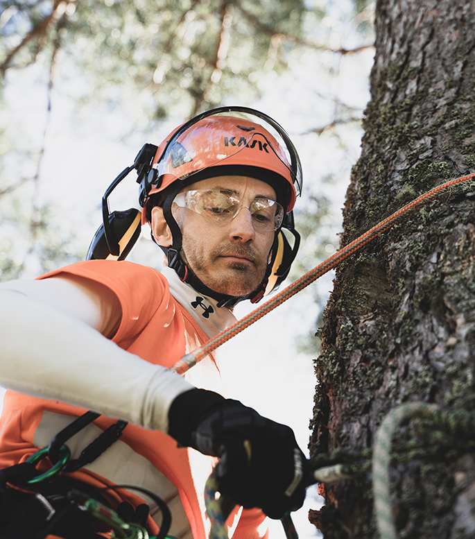 Arborist Reports BY CERTIFIED ARBORISTS Spring Man Canada Inc