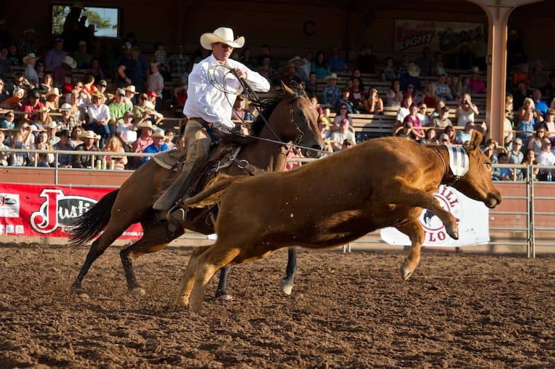 7 Western Heritage Events and Rodeos in Colorado Springs This Summer