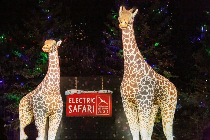 MustSee Christmas Lights in Colorado Springs 2024 Springsmag