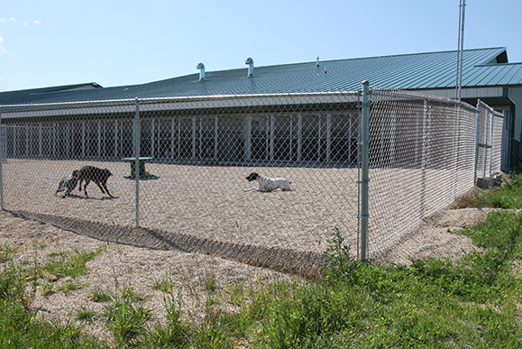 Spring Valley Kennel