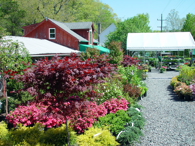 Photos Spring Valley Nurseries Landscape Design in Doylestown, PA.