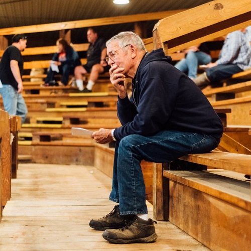 Photo Gallery, Springville Feeder Auction Association, Springville, Indiana