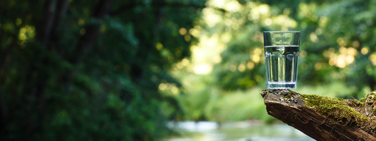 Natural Spring Water Delivery Gold Coast & Brisbane The Spring Waterman