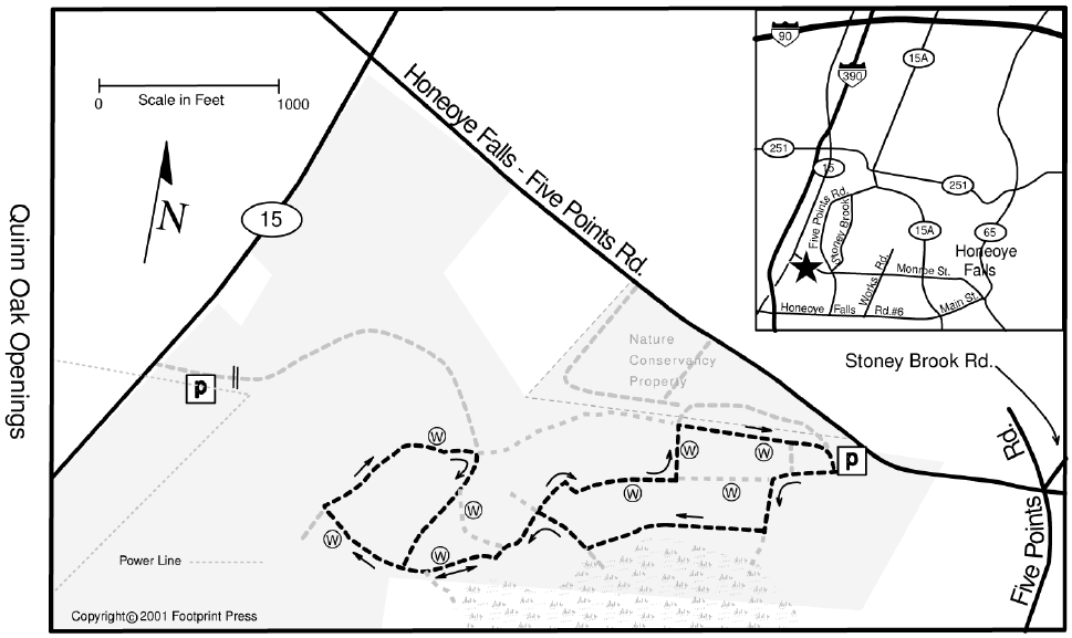 RUSH OAK OPENINGS HIKE — “Unique” will be the key Springwater Trails