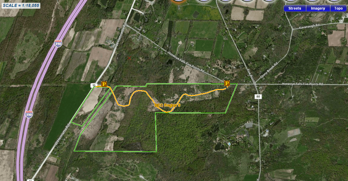 Oak Openings Trail Map RUSH OAK OPENINGS HIKE — “Unique” will be the key Springwater Trails